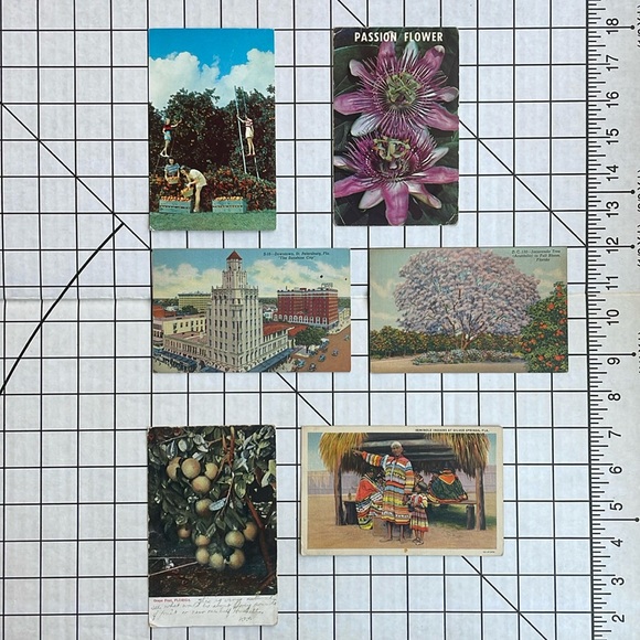 Vintage Florida postcards (6), postmarked from 1910, 1938, ca 1950's-1960's - Picture 1 of 14